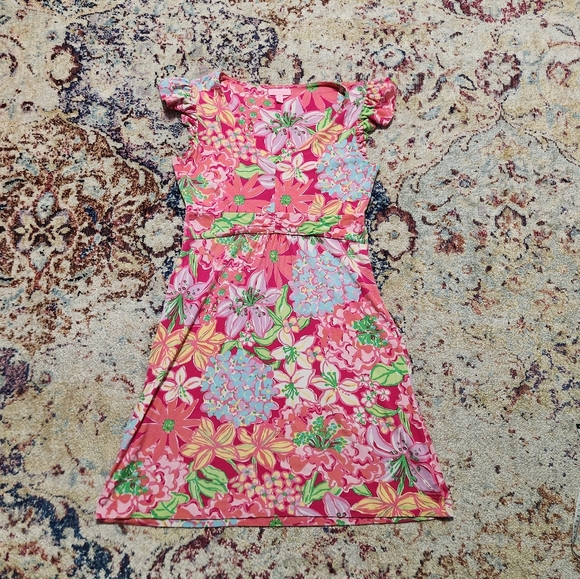 Lilly Pulitzer Cherry Dress Azalea Pink Mini Mariposa Size Medium - Picture 10 of 16